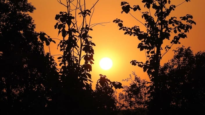 Nature Sunrise Nature Sunrise